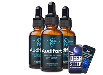 What is AudiFort?