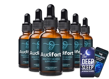 How Does AudiFort Works?