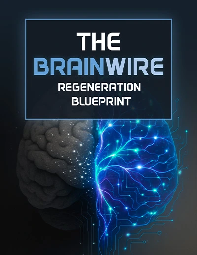 AudiFort Bonus 2 - The Brainwire 
